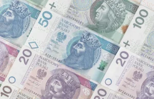 Co z polskim złotym w 2021 roku? Frank, dolar, euro i funt na rynku Forex....