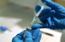 Premier Styrii chce obowiązku szczepień na koronawirusa