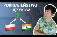 Polski Poliglota Tłumaczy Pokrewieństwo Języków (w 3 językach )