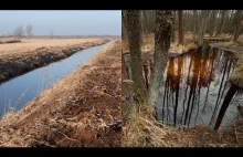 Polskie instytucje państwowe każdego dnia niszczą przyrodę rzek i ich dolin