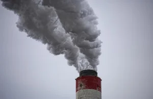 Atak smogu! Rakotwórcze powietrze ZABIŁO w ciągu roku prawie 20 tysięcy osób