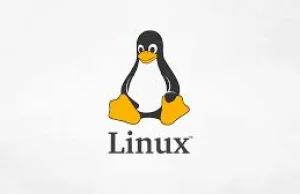Linux Kernel 5.10 LTS
