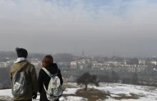 Smog w Krakowie. W środę darmowa komunikacja