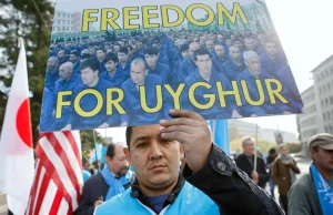 Setki tysięcy Ujgurów zmuszanych do zbierania bawełny w chińskim Sinciangu
