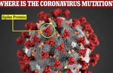 UK: Nowy szczep koronawirusa ma aż 17 mutacji