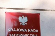 Diety członków komisji bibliotecznej KRS wyższe niż jej roczny budżet na książki