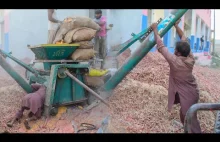 Proces łuskania kukurydzy Indie