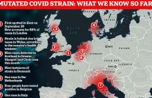 Kolejne państwa wykrywają nowy szczep koronawirusa u podróżnych z UK