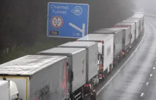 Wielokilometrowe korki. Kierowcy ciężarówek utknęli w Dover