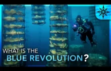 What is the Blue Revolution?