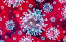 COVID-19: Nowy wariant wirusa odkryto w RPA.
