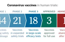 Zestawienie wszystkich szczepionek na koronawirusa.