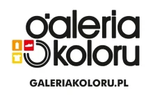 Warszawski sklep "Galeria Koloru" w dalszym ciągu promuje wandalizm.