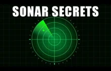Jak działa Sonar - Smarter Every Day 249