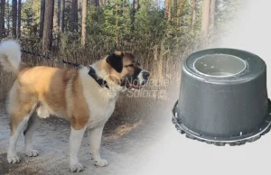 Miska podgrzewana na wodę dla psa - Zrób sam :)