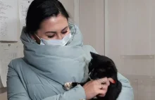 Uratowany kot zasiadł w regionalnym resorcie środowiska w Rosji