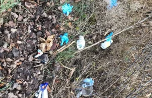 Wrocław: Prywatne pogotowie medyczne wyrzuca odpady medyczne do rowu