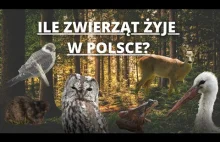 Ile zwierząt żyje w Polsce?