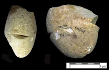 Znaleźli narzędzie do rozcierania o 50 000 lat starsze od naszego gatunku