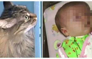 Matka usiłowała zabić swoje dziecko. Wystawiła je na mróz. Kot je uratował.