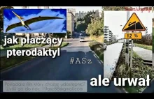 Ale urwał , jak płaczący pterodaktyl