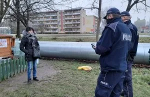 Siedlce - przyczepili kotu petardę do głowy. Okazało się, że to KŁAMSTWO kociary