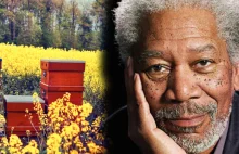 Morgan Freeman przekształcił swoje ogromne rancho w rezerwat pszczół