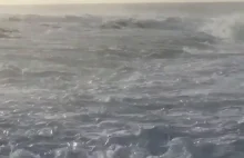 Surfer Mikey Wright ratuje kobietę przed utonięciem Hawaje