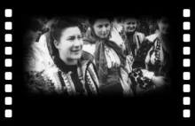 Współpraca Ukraińców i Niemców podczas II wojny światowej