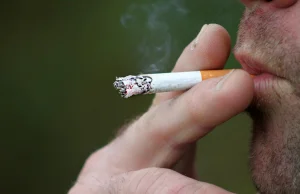 Zakaz palenia papierosów na balkonach i tarasach? Pomysł z Litwy może...