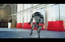 roboty Boston Dynamics feat Bracia Figo Fagot