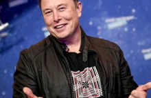 Elon Musk jednym tweetem zDoSował Signala