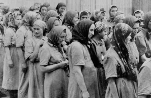 Gwałty niemieckich strażników na więźniarkach Auschwitz. Poruszające wspomnienia