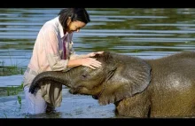 Słoniątko pokonuje strach przed wodą | BBC Earth