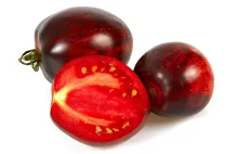 Pomidor ‘Gargamel’ - to od niego zapożyczył imię prześladowca smerfów