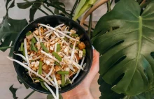 Wegetariański Pad Thai z tofu - kuchnia tajska - Ewelina Roo