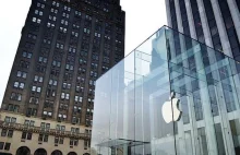 Raport: Apple świadomie korzystało z pracy dzieci przez 3 lata, aby...