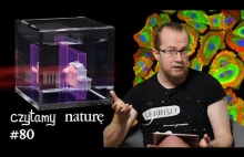 Czytamy naturę #80 | Drukarka 3D superdetaliczna - Mapy mikrobów - Marsz komórek