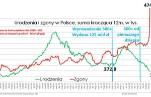 Populacja polski w 2020 skurczyła się o 115,2 tys