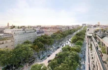 Zmiany na Champs-Élysées - plan zazielenienia rozpoznawalnej ulicy w Paryżu.