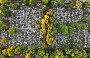 Wpływ cmentarzy na środowisko i zdrowie publiczne