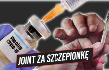 Joint za szczepionkę - aktywiści będą rozdawać marihuanę zaszczepionym na COVID