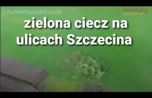 Zielona ciecz na ulicach Szczecina 13.01.2021 Awaria ciepłownicza