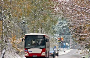 Sosnowiec nie wyrzuca bezdomnych z autobusu. Dali specjalny kurs tylko dla nich!