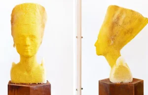 60000 pszczół pomogło stworzyć ten posąg Nefertiti o strukturze plastra