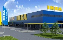 IKEA zrywa umowę z agencję Adama Hofmana