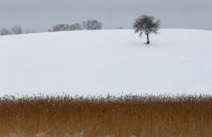 Fala arktycznych mrozów. Do -20 st. C i zamiecie śnieżne - Polsat News