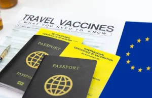 EU Leaders Demand "Standardised" Vaccine Passport For Travel