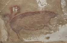 Znaleziono najstarszy znany rysunek naskalny. Przedstawia świnię