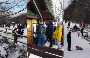 Polacy mają dość! Lockdown staje się fikcją z dnia na dzień. Absurd goni absurd